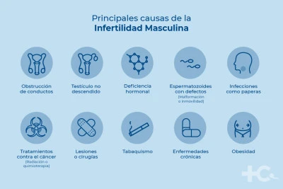 Efectos en la fertilidad masculina: lo que debes saber