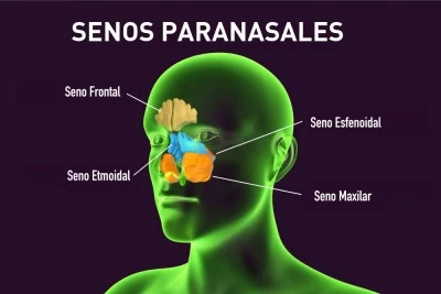 Prevención y tratamiento de infecciones en tracto respiratorio superior