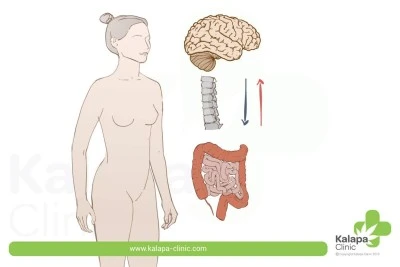 Beneficios de la terapia hormonal en el síndrome de intestino