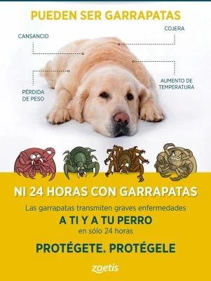 Prevención y tratamiento de enfermedades transmitidas por garrapatas