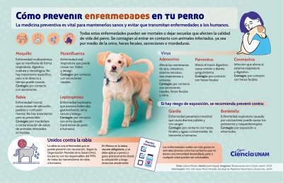 Prevención y tratamiento de enfermedades transmitidas por animales domésticos