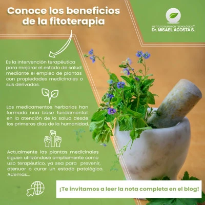 Beneficios de la fitoterapia en diversas condiciones de salud