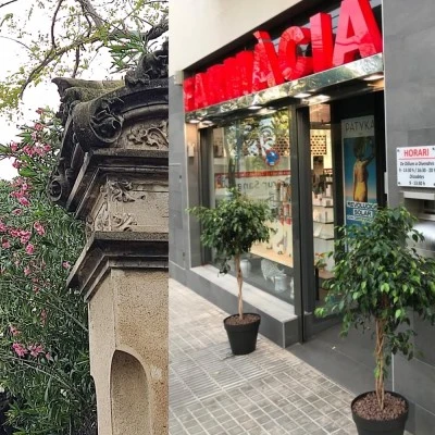 Farmacia