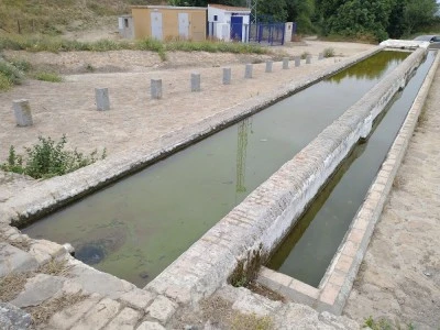 Fuente salobre