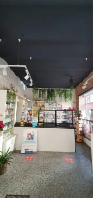 Farmacia Carmen Llorente Cancho