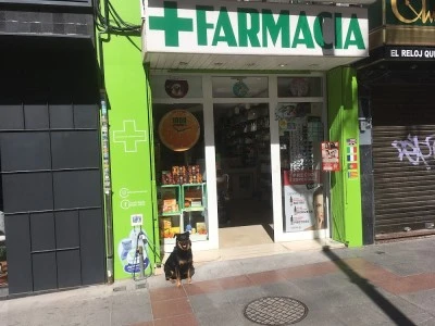 Farmacia