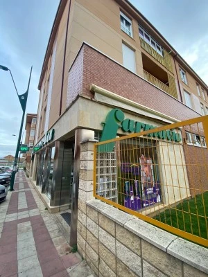 Farmacia