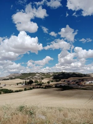 Farmacia