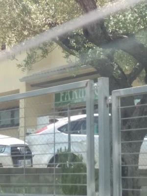 Farmacia