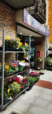 Floristería Syo
