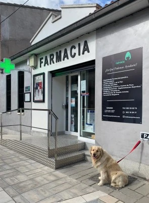 Farmacia