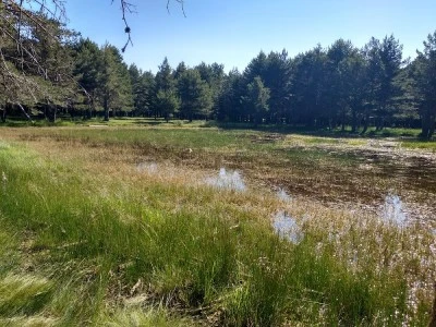 Laguna de Peñas Agudas del Cerritón del Puerto de Noguera de Albarracín