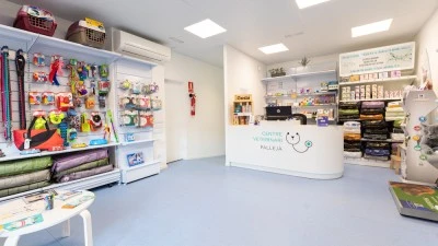 Farmacia