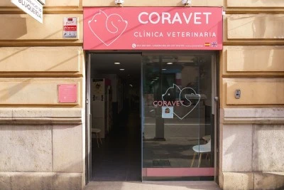 Farmacia