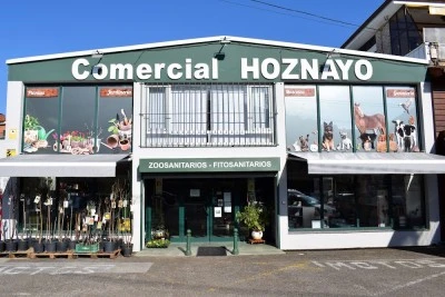 Comercial Hoznayo S L