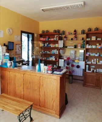Farmacia