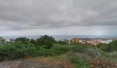 Peláez Páramo-Muñoz C B