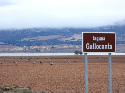 Gallocanta Turística