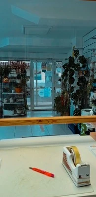 Farmacia