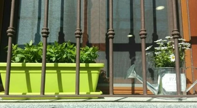 Farmacia
