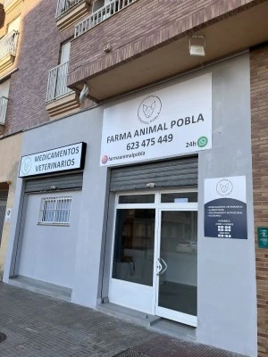 Farmacia