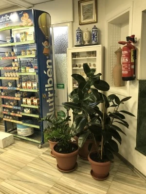 Farmacia Francisco García Gomez