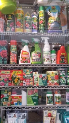 Farmacia