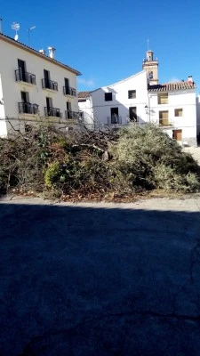Farmacia de Toga