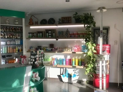 Farmacia
