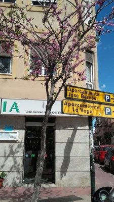 Insausti Sánchez María Del Carmen