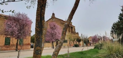 Farmacia