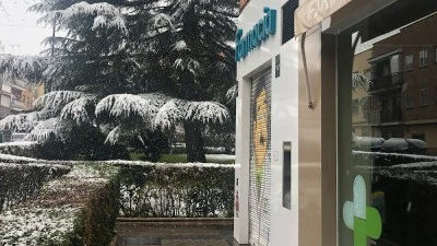 Farmacia Fátima 8