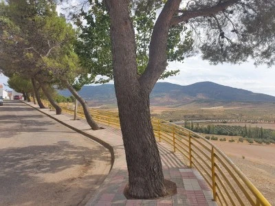 Ayuntamiento de Villapalacios.