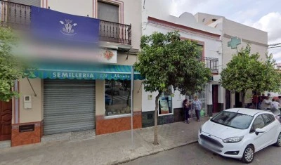 Sánchez García María Del Carmen